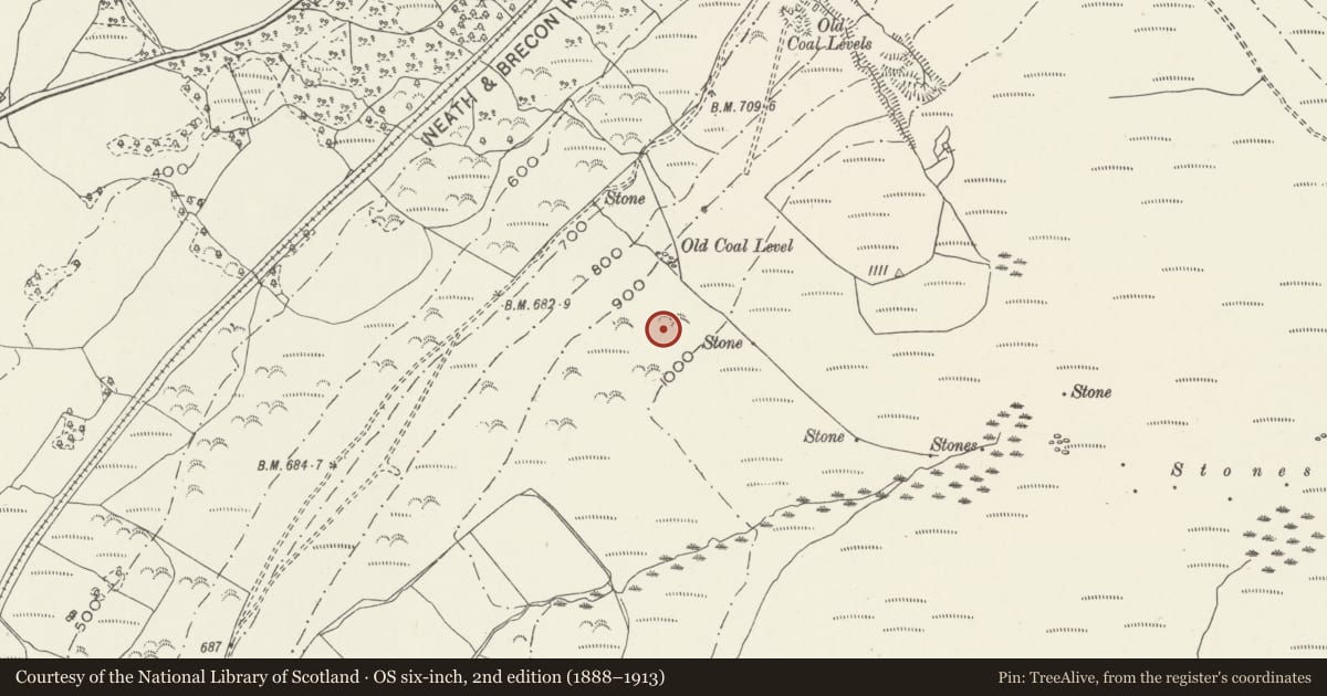 Ordnance Survey six-inch map, 2nd edition (1888–1913) covering the location of Coed Ddu house platforms and enclosure, Crynant, Neath Port Talbot, with a pin at the register's coordinates