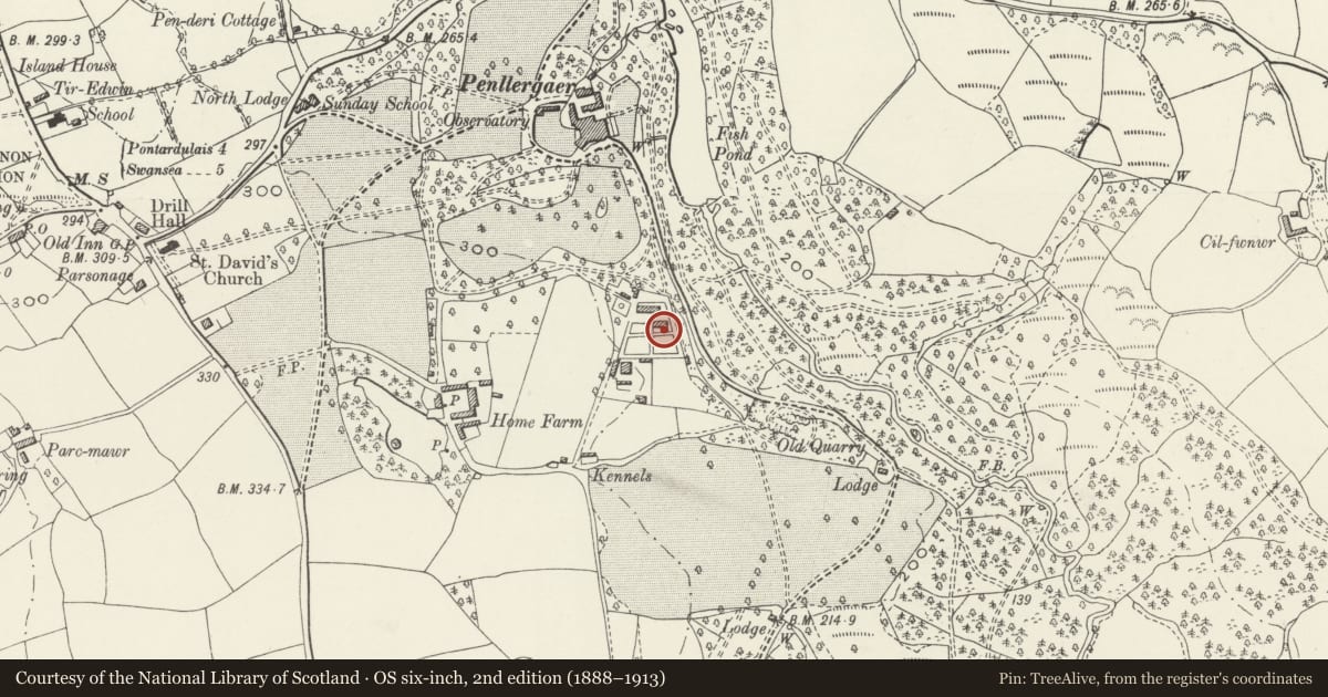 Ordnance Survey six-inch map, 2nd edition (1888–1913) covering the location of Penllergaer orchideous house, Swansea, with a pin at the register's coordinates