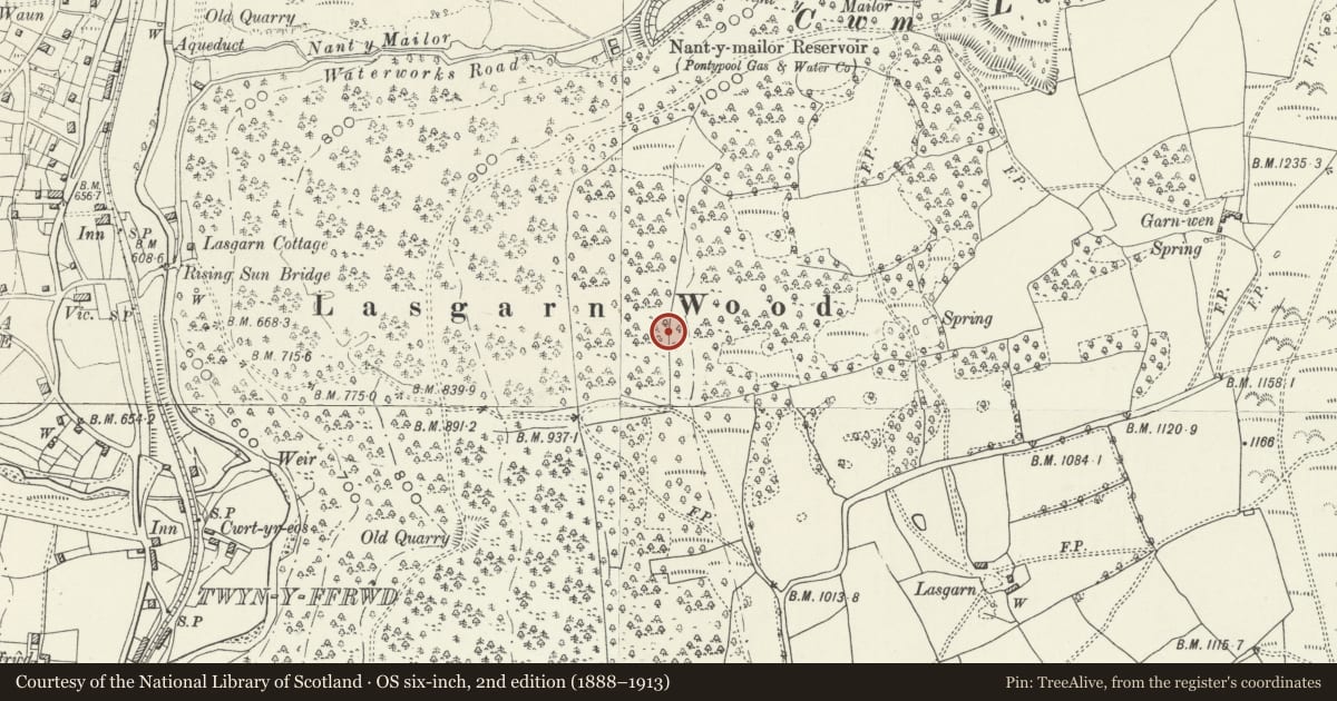 Ordnance Survey six-inch map, 2nd edition (1888–1913) covering the location of Abersychan Railway, Torfaen, with a pin at the register's coordinates