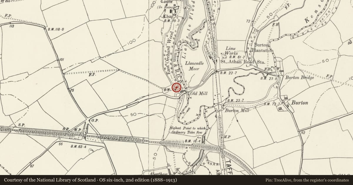 Ordnance Survey six-inch map, 2nd edition (1888–1913) covering the location of East Orchard Wood Pillbox, St. Athan, Vale of Glamorgan, with a pin at the register's coordinates