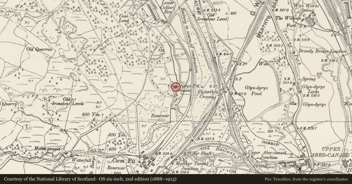 Ordnance Survey six-inch map, 2nd edition (1888–1913) covering the location of Cyfarthfa balance pond and leat, Troed-y-Rhiw, Merthyr Tydfil, with a pin at the register's coordinates