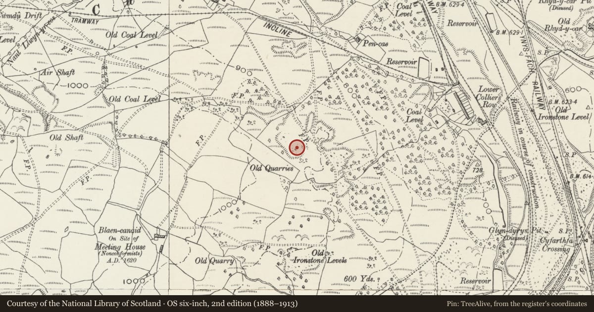 Ordnance Survey six-inch map, 2nd edition (1888–1913) covering the location of Black Pins early ironstone workings, Cyfarthfa, Merthyr Tydfil, with a pin at the register's coordinates