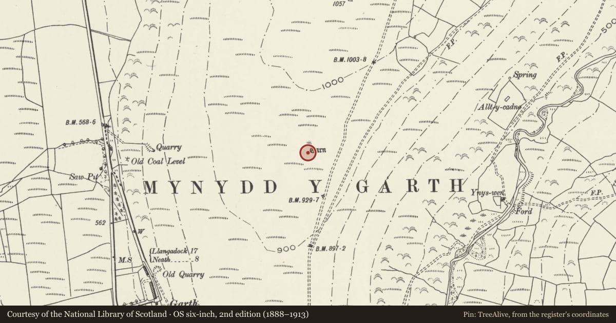 Ordnance Survey six-inch map, 2nd edition (1888–1913) covering the location of Mynydd y Garth Cairn, Pontardawe, Neath Port Talbot, with a pin at the register's coordinates