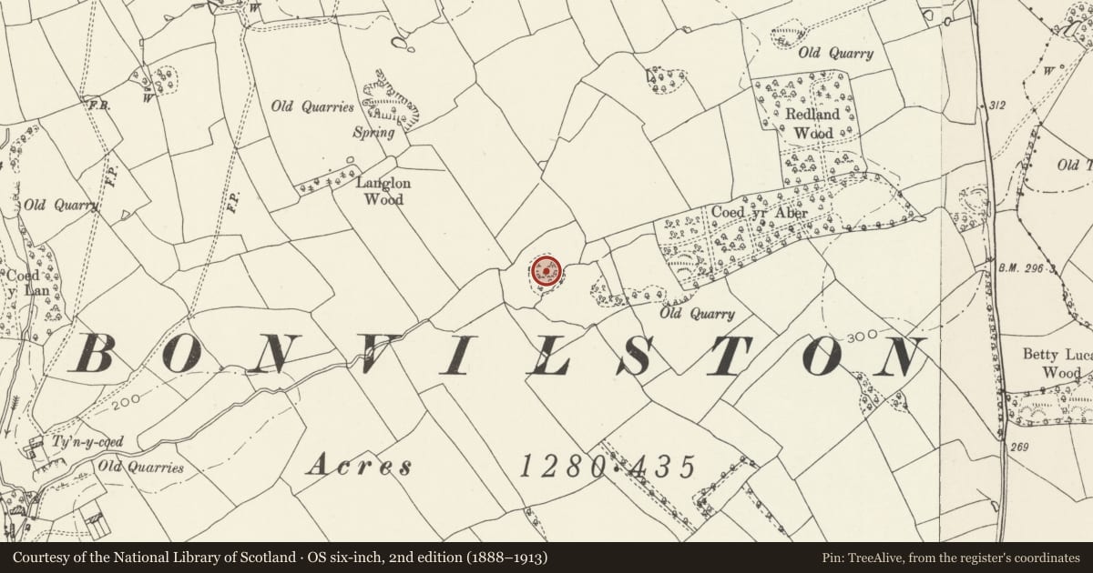 Ordnance Survey six-inch map, 2nd edition (1888–1913) covering the location of Castle Ringwork 850m ENE of Ty'n-y-Coed, St. Nicholas and Bonvilston, Vale of Glamorgan, with a pin at the register's coordinates