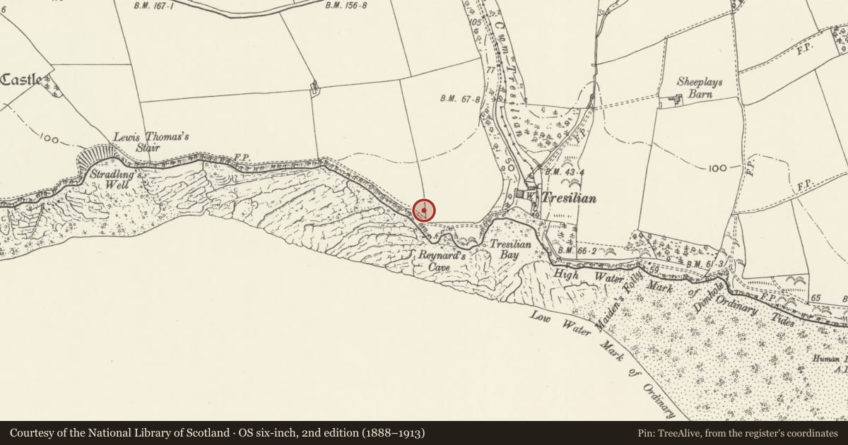Ordnance Survey six-inch map, 2nd edition (1888–1913) covering the location of Tresilian Bay Anti-invasion Defences, St. Donats, Vale of Glamorgan, with a pin at the register's coordinates