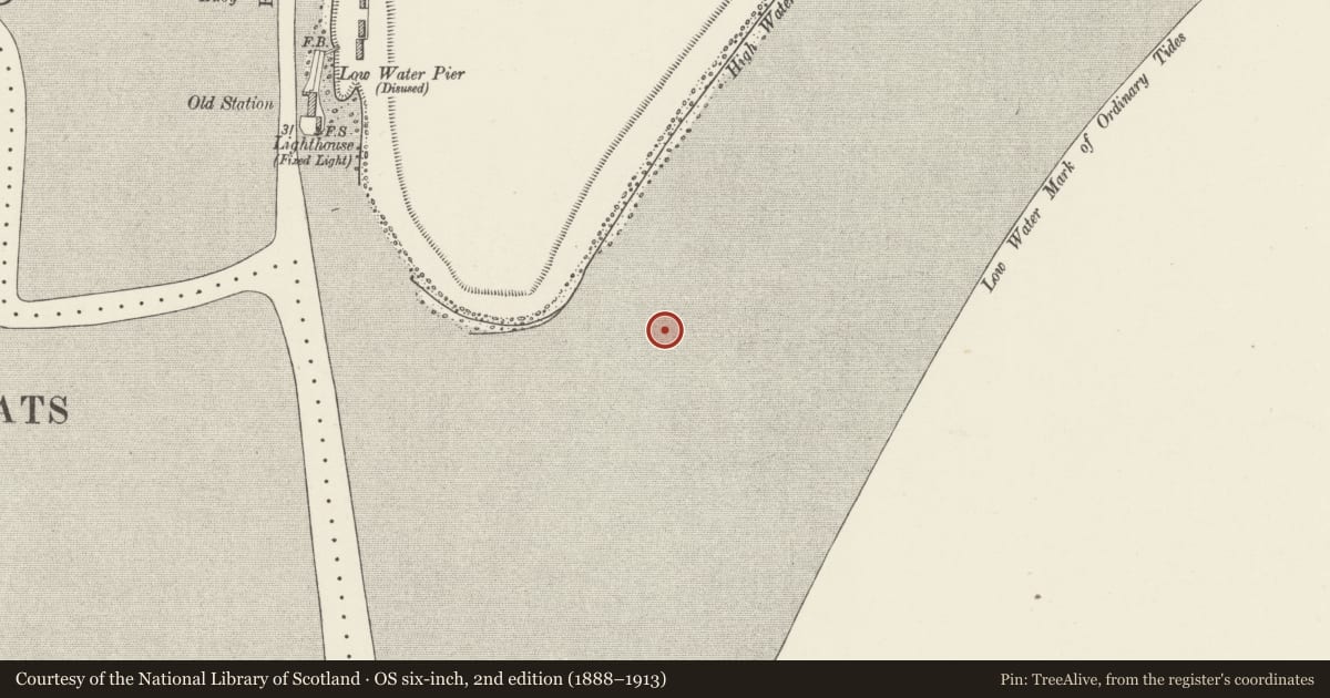 Ordnance Survey six-inch map, 2nd edition (1888–1913) covering the location of Queen Alexandra Dock Harbour Defence Gun Emplacement, Butetown, Cardiff, with a pin at the register's coordinates
