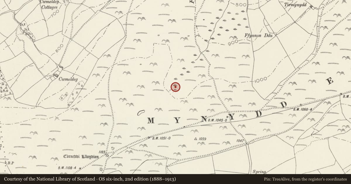 Ordnance Survey six-inch map, 2nd edition (1888–1913) covering the location of Prehistoric Rock Art on Mynydd Eglwysilan Common, Nelson, Caerphilly, with a pin at the register's coordinates