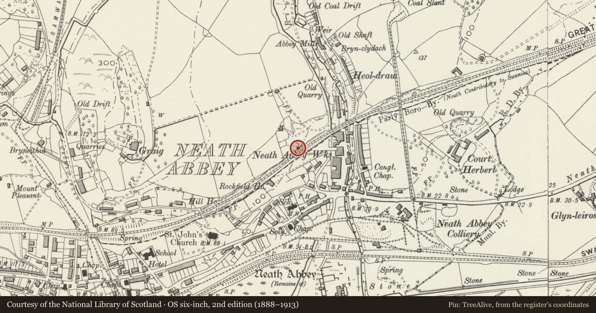 Ordnance Survey six-inch map, 2nd edition (1888–1913) covering the location of Neath Abbey Ironworks Calcining Kilns, Dyffryn Clydach, Neath Port Talbot, with a pin at the register's coordinates