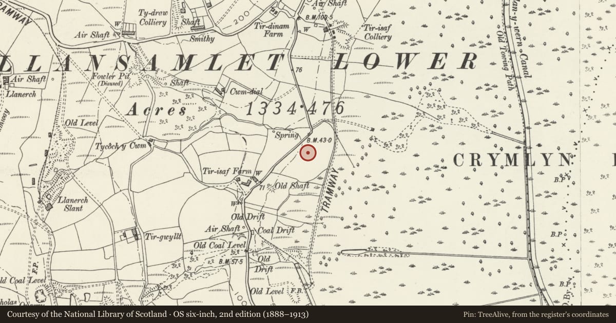 Ordnance Survey six-inch map, 2nd edition (1888–1913) covering the location of Crymlyn Bog Second World War Barrage Balloon Site, Bonymaen, Swansea, with a pin at the register's coordinates