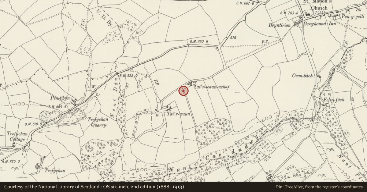 Ordnance Survey six-inch map, 2nd edition (1888–1913) covering the location of Prehistoric Rock Art at Tai’r Waun Isaf, Nelson, Caerphilly, with a pin at the register's coordinates