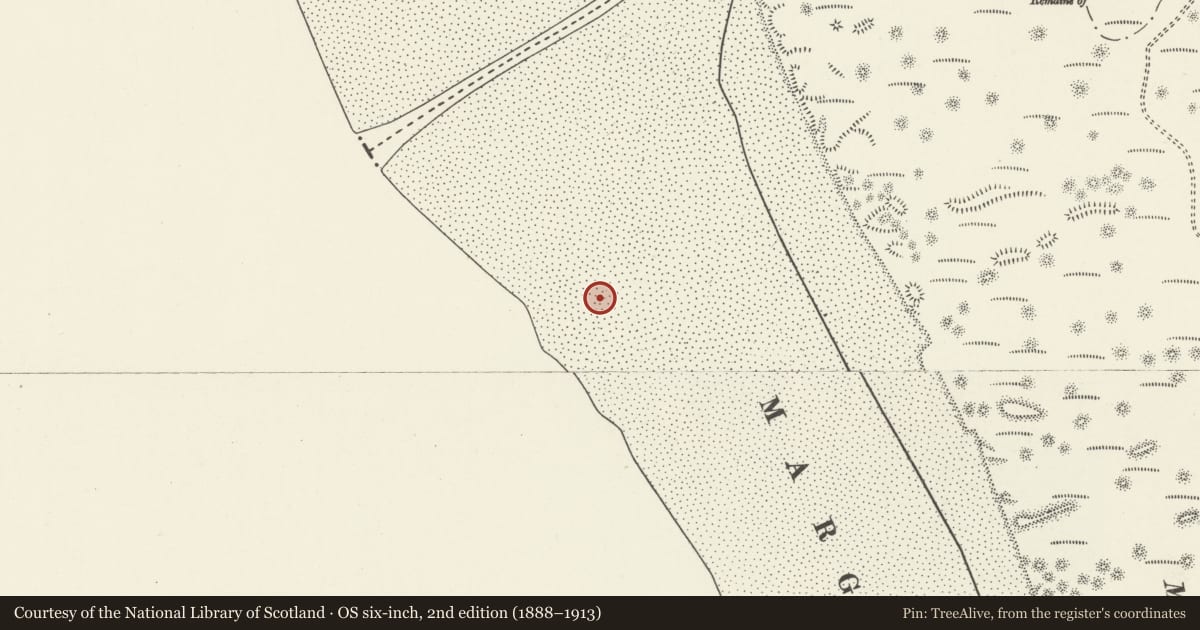 Ordnance Survey six-inch map, 2nd edition (1888–1913) covering the location of Wrecking site of the Ann Francis, Margam Moors, Neath Port Talbot, with a pin at the register's coordinates