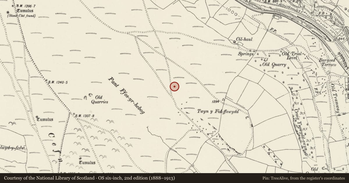 Ordnance Survey six-inch map, 2nd edition (1888–1913) covering the location of Pant Ffos-yr-hebog Cup-Marked Stone, Darran Valley, Caerphilly, with a pin at the register's coordinates