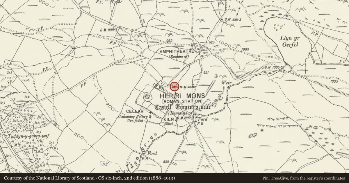 Ordnance Survey six-inch map, 2nd edition (1888–1913) covering the location of Castell Tomen y Mur, Maentwrog, Gwynedd, with a pin at the register's coordinates
