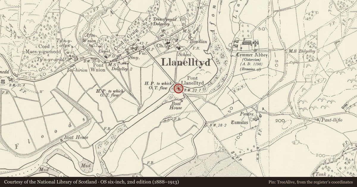 Ordnance Survey six-inch map, 2nd edition (1888–1913) covering the location of Llanelltyd Bridge, Gwynedd, with a pin at the register's coordinates