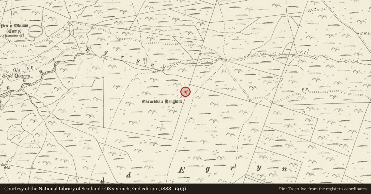 Ordnance Survey six-inch map, 2nd edition (1888–1913) covering the location of Carneddau Hengwm Long Cairns, Dyffryn Ardudwy, Gwynedd, with a pin at the register's coordinates