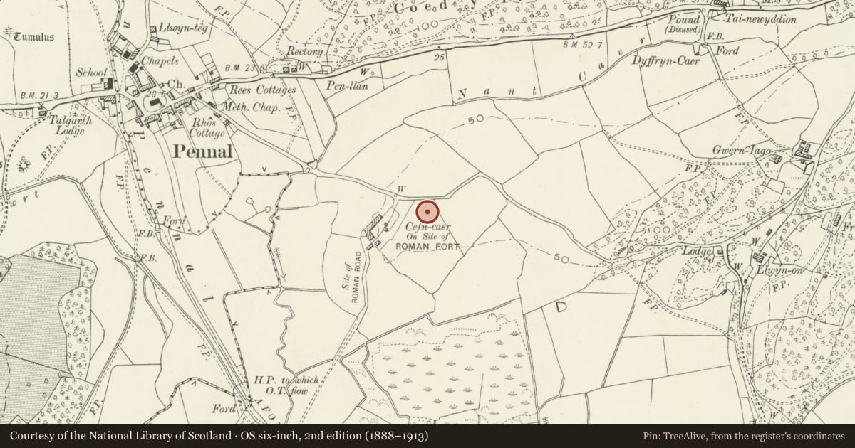 Ordnance Survey six-inch map, 2nd edition (1888–1913) covering the location of Cefn-Caer Roman Site, Pennal, Gwynedd, with a pin at the register's coordinates
