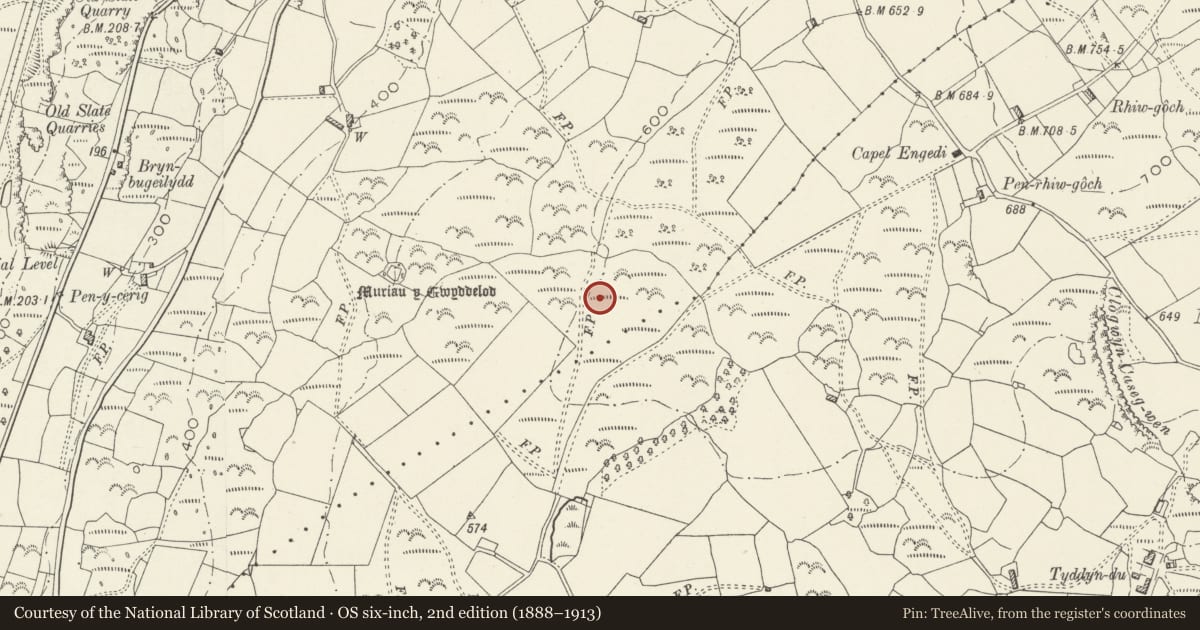Ordnance Survey six-inch map, 2nd edition (1888–1913) covering the location of Muriau'r Gwyddelod Ancient Village, Harlech, Gwynedd, with a pin at the register's coordinates