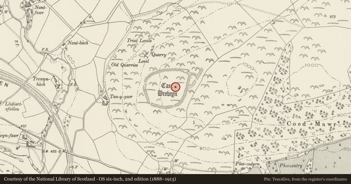 Ordnance Survey six-inch map, 2nd edition (1888–1913) covering the location of Caer Drewen Camp, Corwen, Denbighshire, with a pin at the register's coordinates