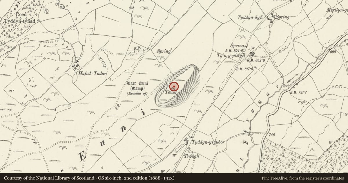 Ordnance Survey six-inch map, 2nd edition (1888–1913) covering the location of Caer Euni Camp, Llandderfel, Gwynedd, with a pin at the register's coordinates