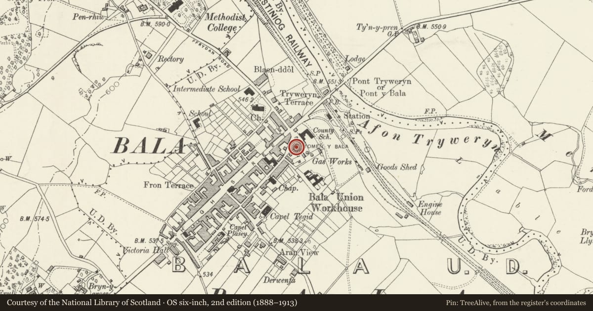 Ordnance Survey six-inch map, 2nd edition (1888–1913) covering the location of Tomen y Bala Castle Mound, Gwynedd, with a pin at the register's coordinates