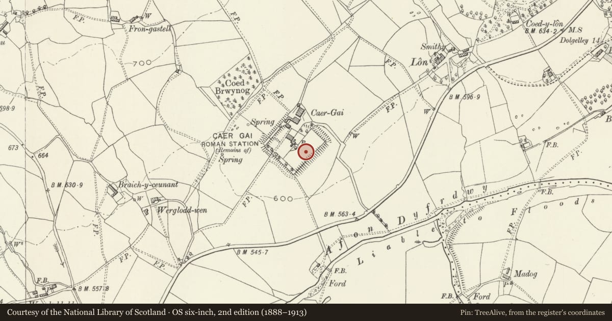 Ordnance Survey six-inch map, 2nd edition (1888–1913) covering the location of Caer Gai Roman Site, Llanuwchllyn, Gwynedd, with a pin at the register's coordinates