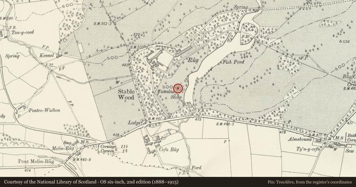 Ordnance Survey six-inch map, 2nd edition (1888–1913) covering the location of Rug Mound, Corwen, Denbighshire, with a pin at the register's coordinates