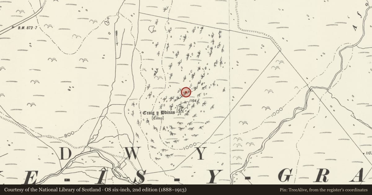 Ordnance Survey six-inch map, 2nd edition (1888–1913) covering the location of Craig-y-Ddinas Camp, Dyffryn Ardudwy, Gwynedd, with a pin at the register's coordinates