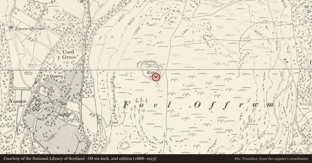 Ordnance Survey six-inch map, 2nd edition (1888–1913) covering the location of Moel Offrwm Camp, Brithdir and Llanfachreth, Gwynedd, with a pin at the register's coordinates