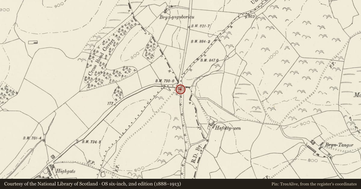 Ordnance Survey six-inch map, 2nd edition (1888–1913) covering the location of Bwrdd y Tri Arglwydd Boundary Stone, Corwen, Denbighshire, with a pin at the register's coordinates