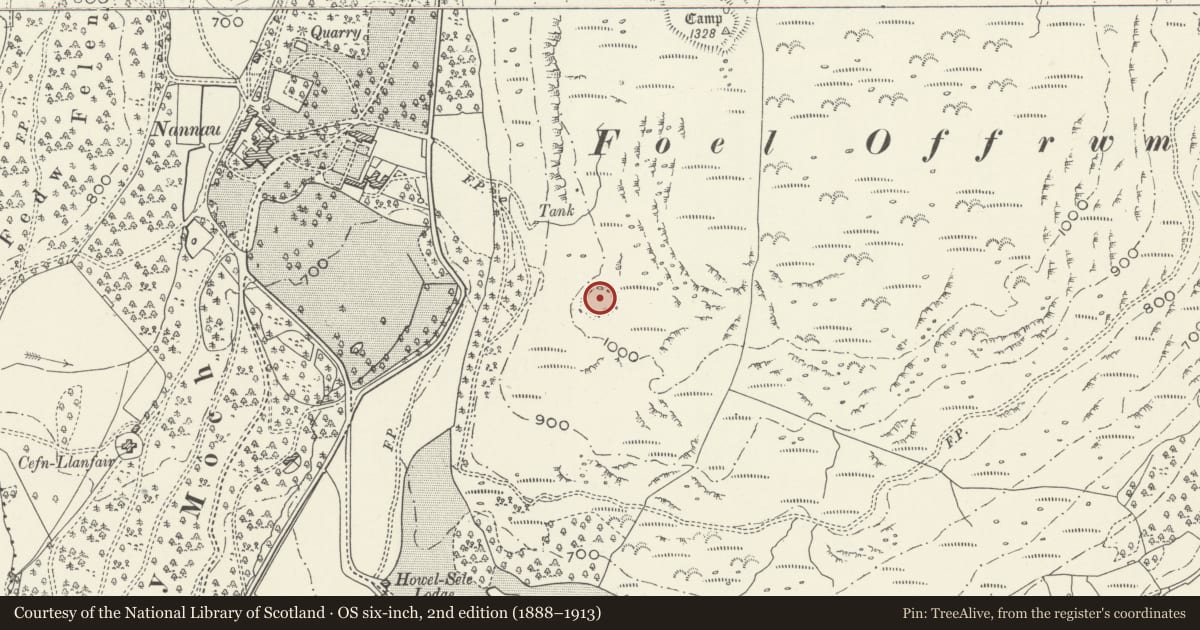 Ordnance Survey six-inch map, 2nd edition (1888–1913) covering the location of Moel Offrwm Lower Camp, Brithdir and Llanfachreth, Gwynedd, with a pin at the register's coordinates