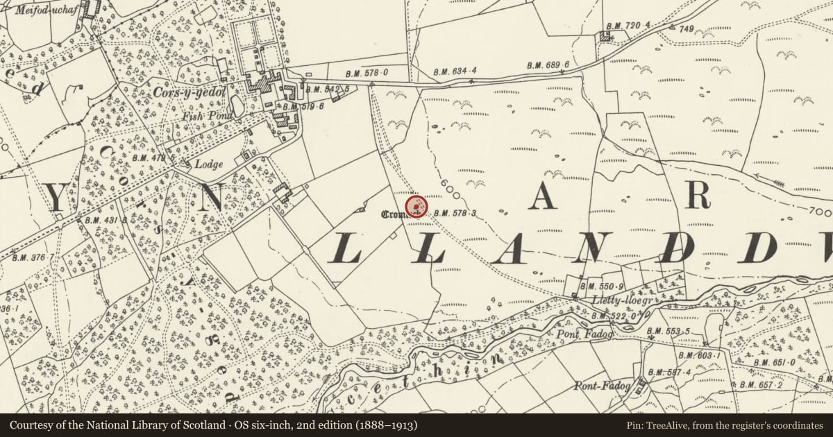 Ordnance Survey six-inch map, 2nd edition (1888–1913) covering the location of Cors-y-Gedol Burial Chamber, Dyffryn Ardudwy, Gwynedd, with a pin at the register's coordinates