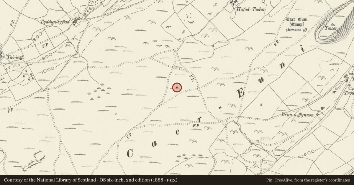 Ordnance Survey six-inch map, 2nd edition (1888–1913) covering the location of Caer Euni Stone Circles, Llandderfel, Gwynedd, with a pin at the register's coordinates