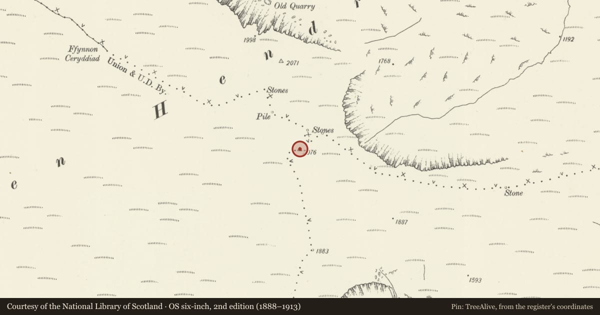 Ordnance Survey six-inch map, 2nd edition (1888–1913) covering the location of Tarren Hendre Cairn, Pennal, Gwynedd, with a pin at the register's coordinates