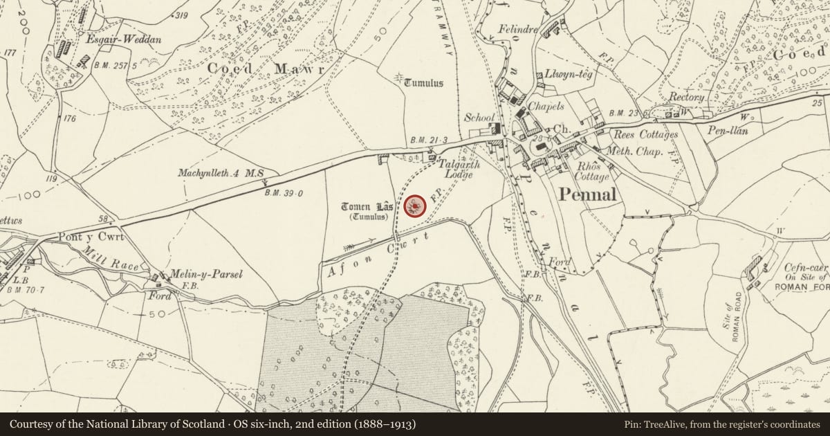 Ordnance Survey six-inch map, 2nd edition (1888–1913) covering the location of Tomen Las Castle Mound, Pennal, Gwynedd, with a pin at the register's coordinates