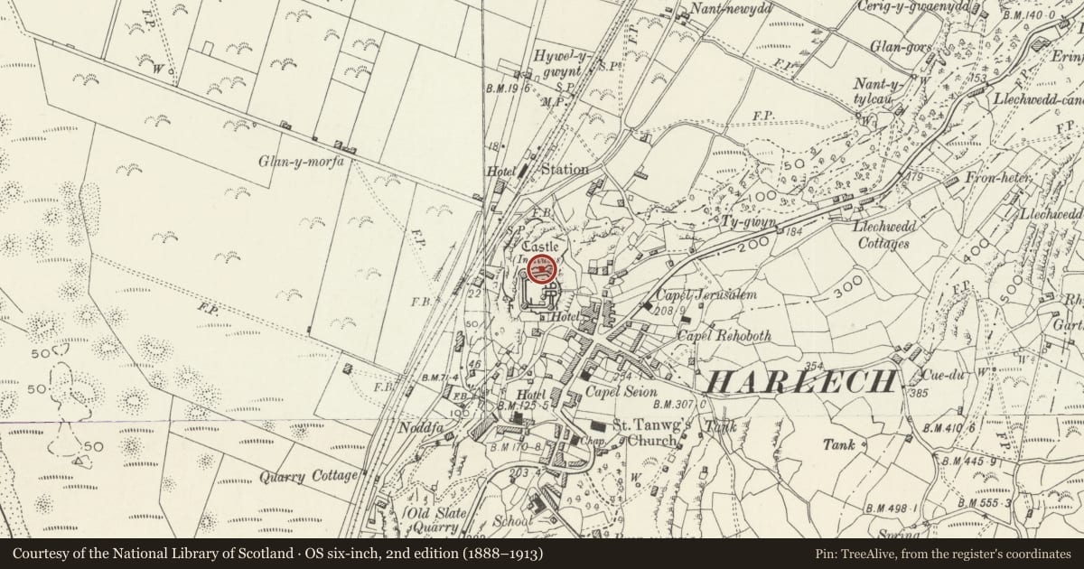 Ordnance Survey six-inch map, 2nd edition (1888–1913) covering the location of Castell Harlech, Gwynedd, with a pin at the register's coordinates