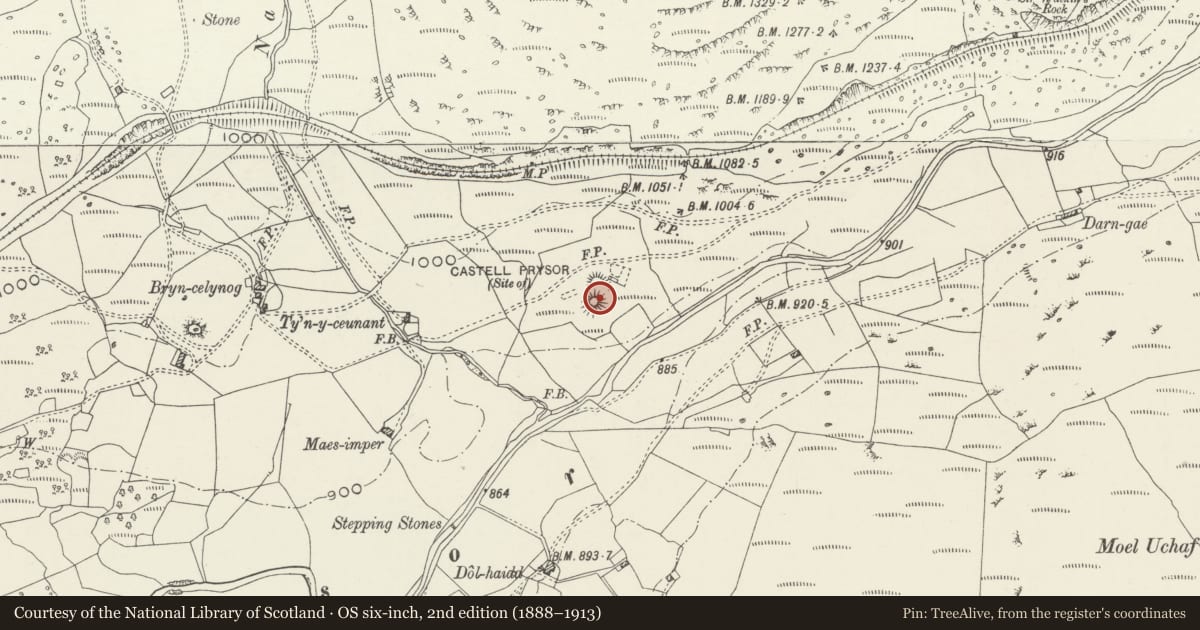 Ordnance Survey six-inch map, 2nd edition (1888–1913) covering the location of Castell Prysor, Trawsfynydd, Gwynedd, with a pin at the register's coordinates