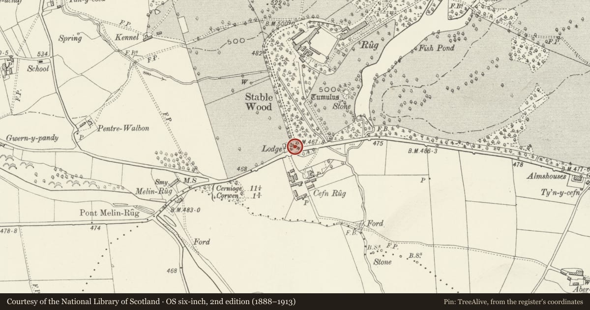 Ordnance Survey six-inch map, 2nd edition (1888–1913) covering the location of Rhug ornamental wrought iron gates, Corwen, Denbighshire, with a pin at the register's coordinates