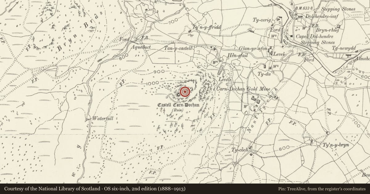 Ordnance Survey six-inch map, 2nd edition (1888–1913) covering the location of Castell Carn Dochan, Llanuwchllyn, Gwynedd, with a pin at the register's coordinates