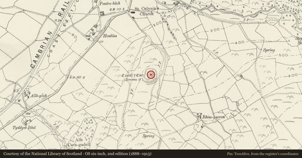 Ordnance Survey six-inch map, 2nd edition (1888–1913) covering the location of Castell y Gaer, Llangelynin, Gwynedd, with a pin at the register's coordinates