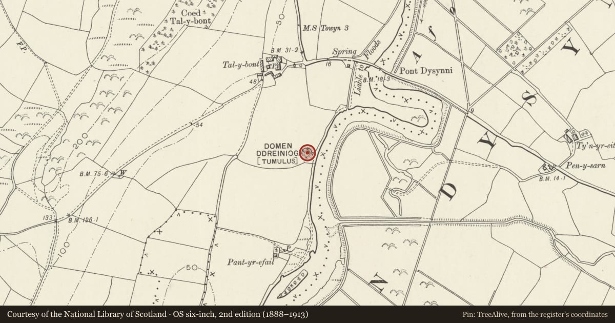 Ordnance Survey six-inch map, 2nd edition (1888–1913) covering the location of Domen Ddreiniog, Llanegryn, Gwynedd, with a pin at the register's coordinates