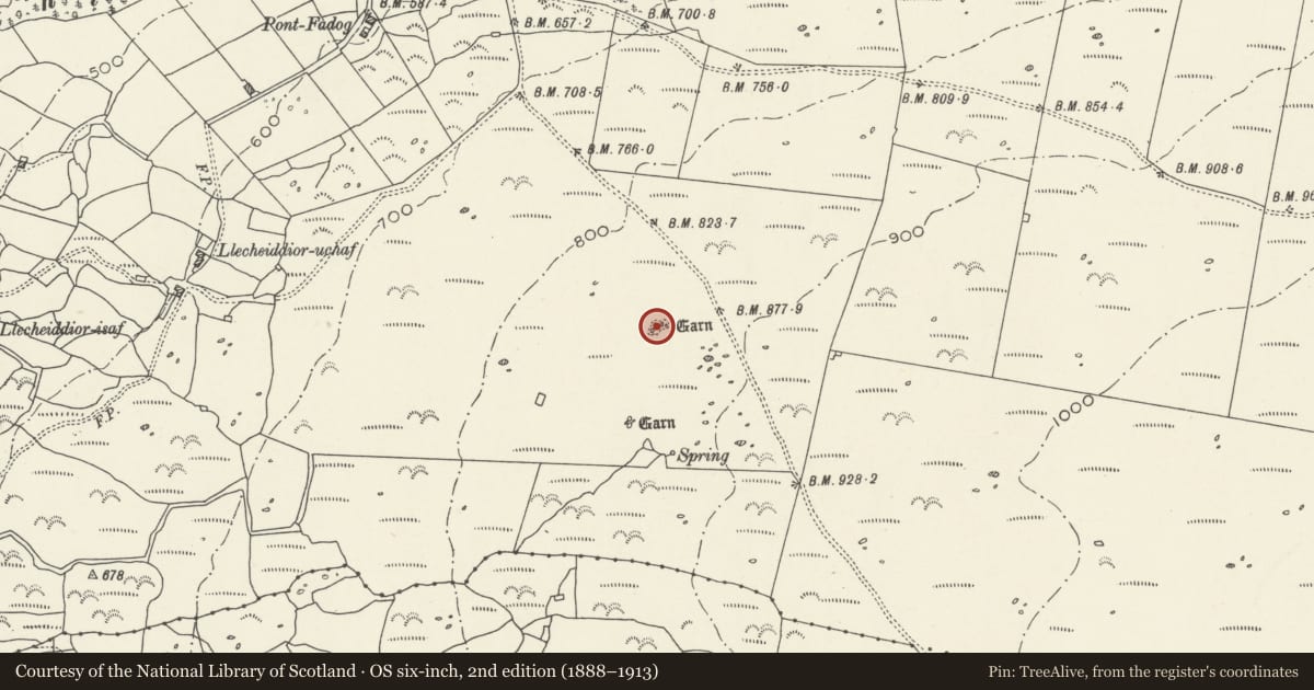 Ordnance Survey six-inch map, 2nd edition (1888–1913) covering the location of Llecheiddior Round Cairns, Dyffryn Ardudwy, Gwynedd, with a pin at the register's coordinates