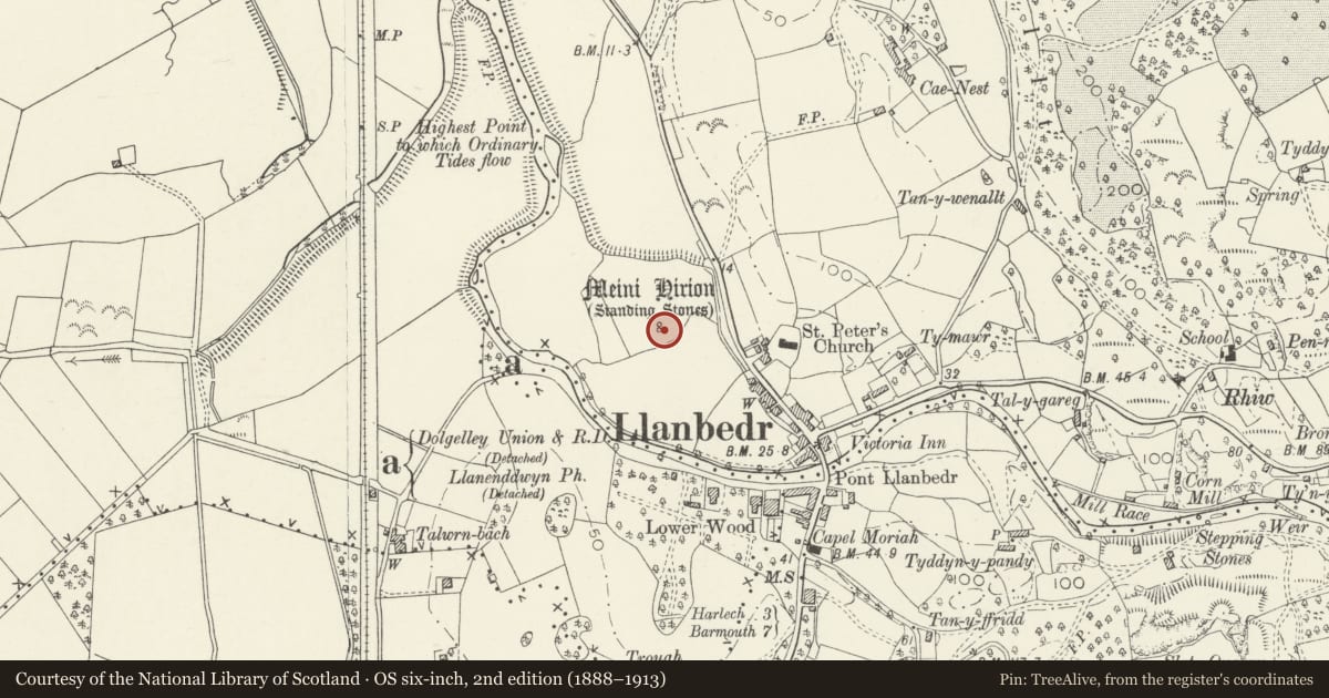 Ordnance Survey six-inch map, 2nd edition (1888–1913) covering the location of Llanbedr Standing Stones, Gwynedd, with a pin at the register's coordinates