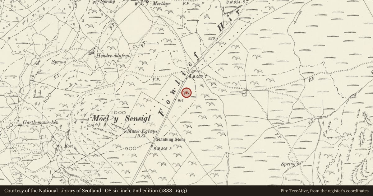 Ordnance Survey six-inch map, 2nd edition (1888–1913) covering the location of Fonlief Hir Standing Stones, Llanfair, Gwynedd, with a pin at the register's coordinates