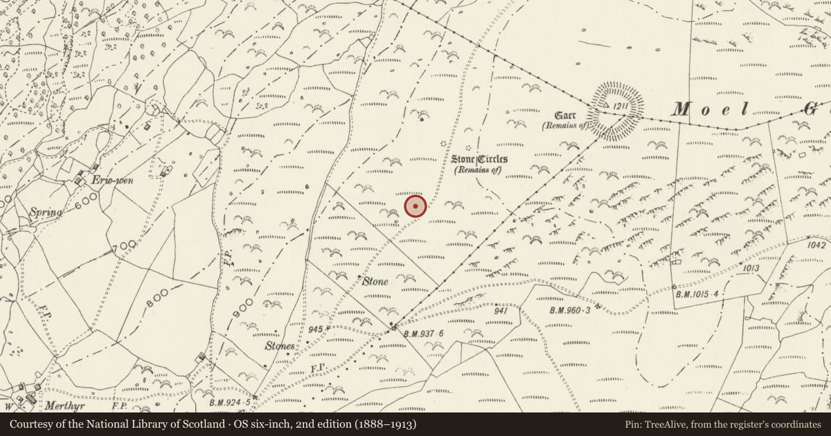 Ordnance Survey six-inch map, 2nd edition (1888–1913) covering the location of Moel Goedog Round Cairns & Standing Stones, Harlech, Gwynedd, with a pin at the register's coordinates