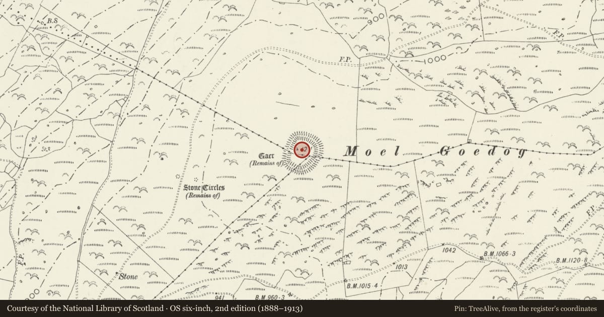 Ordnance Survey six-inch map, 2nd edition (1888–1913) covering the location of Moel Goedog Camp, Harlech, Gwynedd, with a pin at the register's coordinates