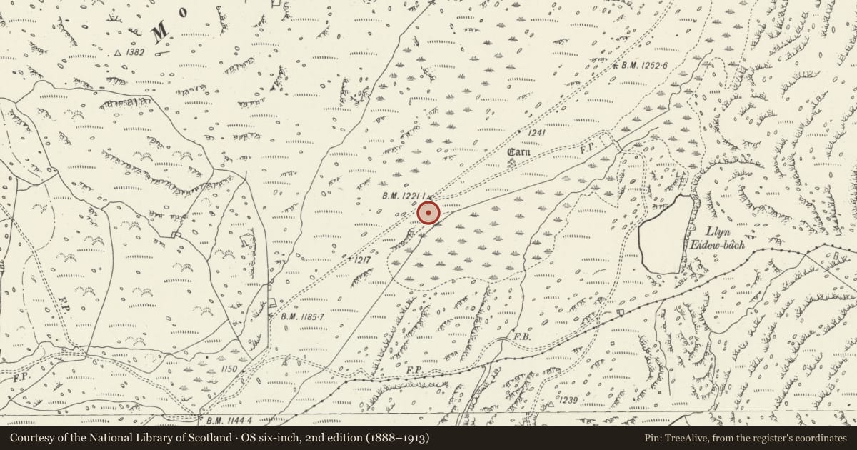 Ordnance Survey six-inch map, 2nd edition (1888–1913) covering the location of Llyn Eiddew Bach Round Cairns, Talsarnau, Gwynedd, with a pin at the register's coordinates