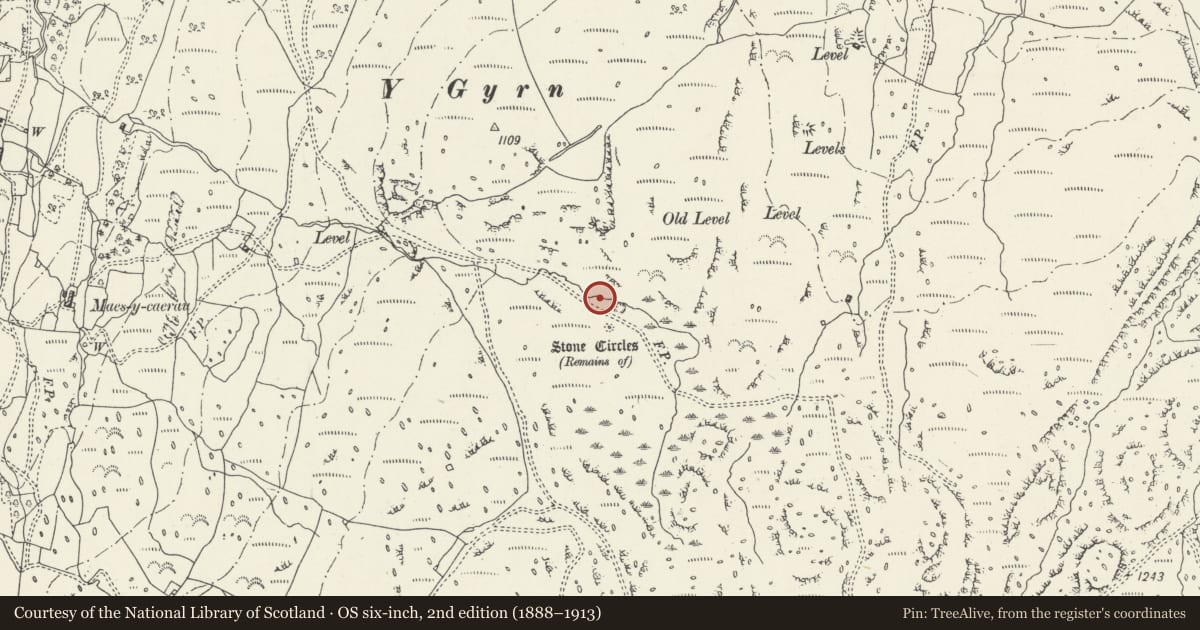 Ordnance Survey six-inch map, 2nd edition (1888–1913) covering the location of Y Gyrn Round Cairns, Talsarnau, Gwynedd, with a pin at the register's coordinates