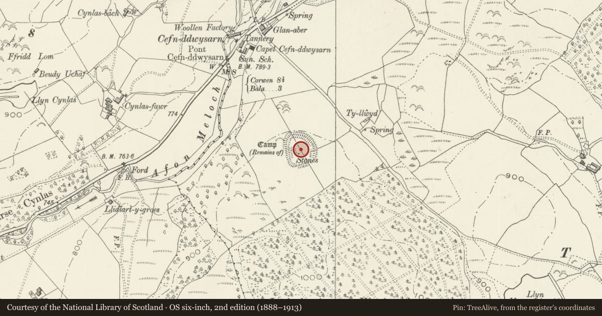 Ordnance Survey six-inch map, 2nd edition (1888–1913) covering the location of Cefn Ddwysarn Camp, Llandderfel, Gwynedd, with a pin at the register's coordinates