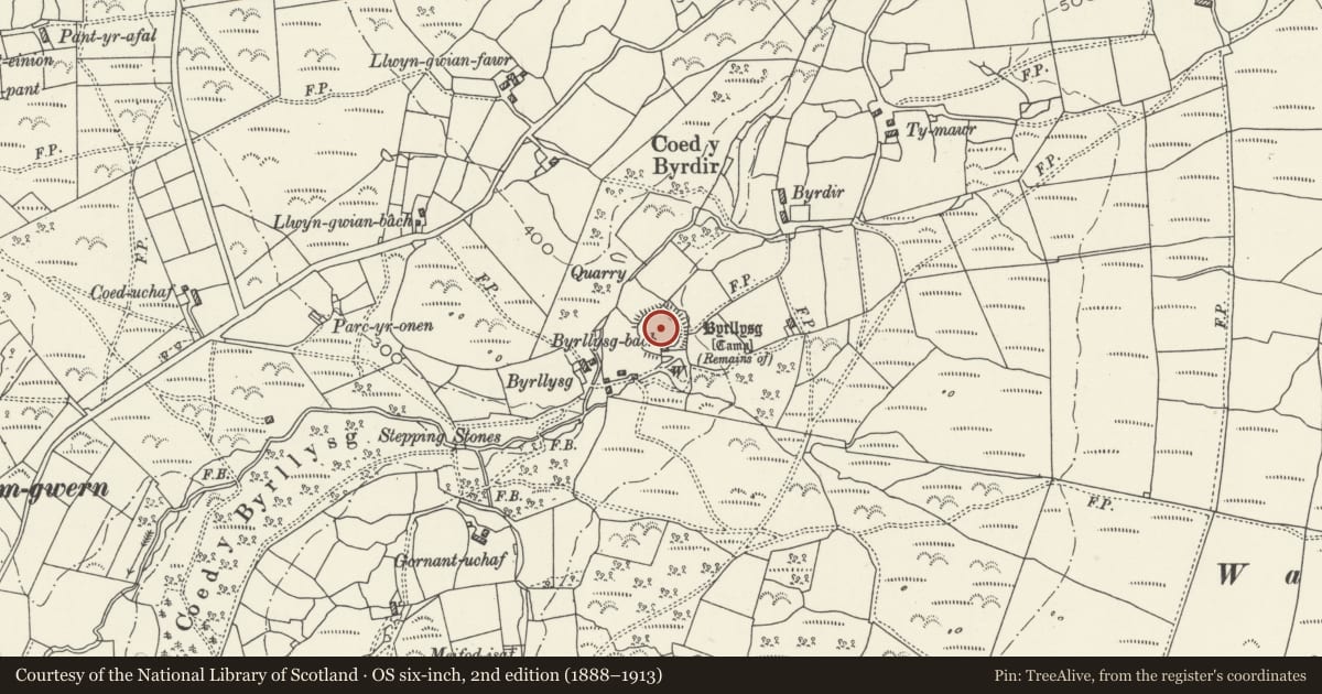 Ordnance Survey six-inch map, 2nd edition (1888–1913) covering the location of Byrllysg promontory fort, Dyffryn Ardudwy, Gwynedd, with a pin at the register's coordinates
