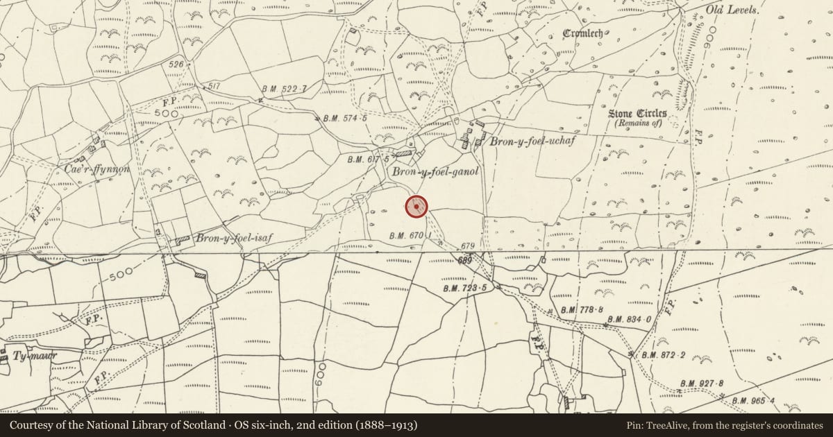 Ordnance Survey six-inch map, 2nd edition (1888–1913) covering the location of Bron-y-Foel West Burial Chamber, Dyffryn Ardudwy, Gwynedd, with a pin at the register's coordinates